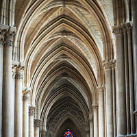 Buy canvas prints of Inside cathedral at Reims France by Ann Biddlecombe
