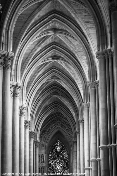 Inside cathedral at Reims in monochrome Picture Board by Ann Biddlecombe