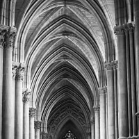 Buy canvas prints of Inside cathedral at Reims in monochrome by Ann Biddlecombe