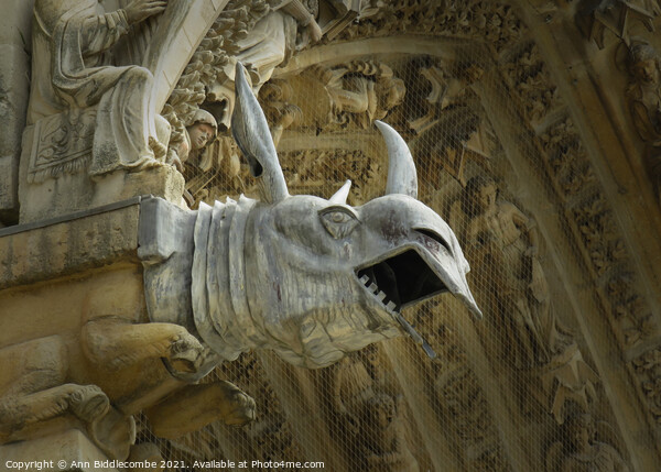 Rino gargoyle at Riems Notre Dame Picture Board by Ann Biddlecombe