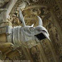 Buy canvas prints of Rino gargoyle at Riems Notre Dame by Ann Biddlecombe