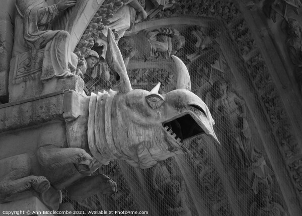Rino gargoyle at Riems Notre Dame in monochrome Picture Board by Ann Biddlecombe