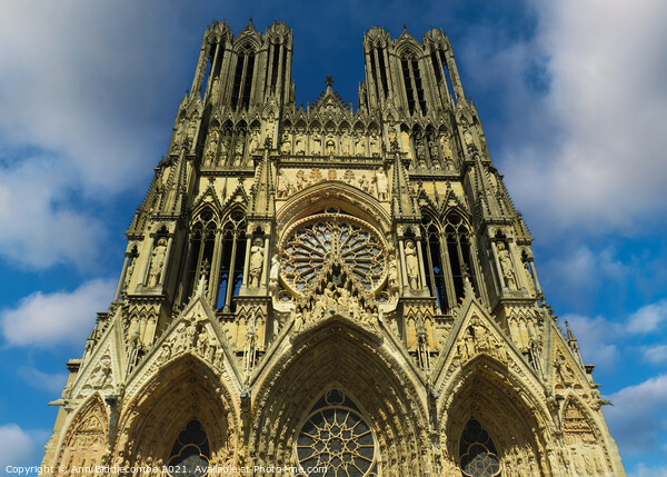 Notre-Dame Cathedral Reims Picture Board by Ann Biddlecombe