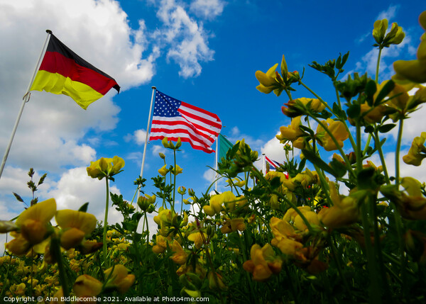 A yellow flowers view of the USA and German flags Picture Board by Ann Biddlecombe