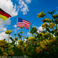 Buy canvas prints of A yellow flowers view of the USA and German flags by Ann Biddlecombe