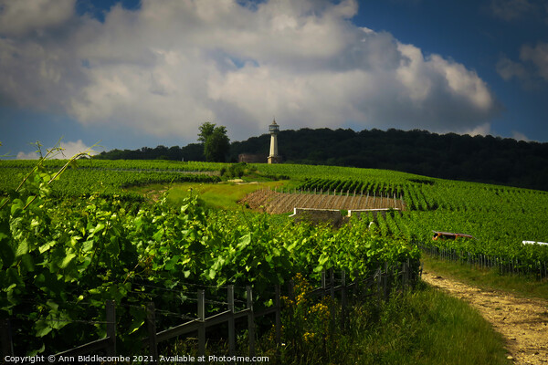 Lighthouse Verzenay surrounded by vineyards Picture Board by Ann Biddlecombe
