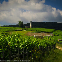 Buy canvas prints of Lighthouse Verzenay surrounded by vineyards by Ann Biddlecombe