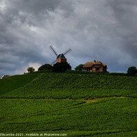 Buy canvas prints of Windmill surrounded by vineyards by Ann Biddlecombe