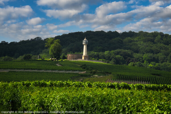 Lighthouse surrounded by vineyards Picture Board by Ann Biddlecombe