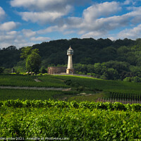 Buy canvas prints of Lighthouse surrounded by vineyards by Ann Biddlecombe