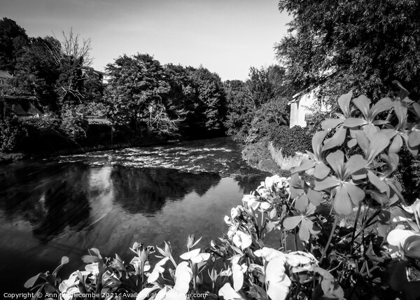 The river Marne in monochrome Picture Board by Ann Biddlecombe