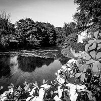 Buy canvas prints of The river Marne in monochrome by Ann Biddlecombe