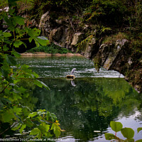 Buy canvas prints of Heron through the remains of a Roman bridge by Ann Biddlecombe