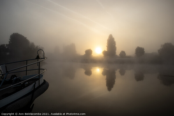 A misty sunrise Picture Board by Ann Biddlecombe