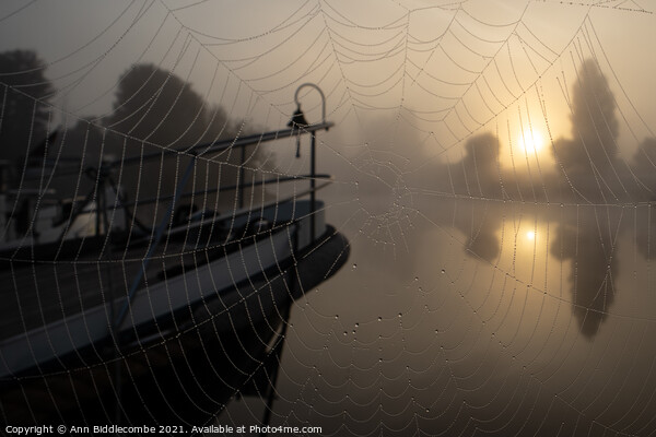 A spiders view of the misty sunrise Picture Board by Ann Biddlecombe