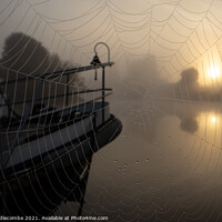 Buy canvas prints of A spiders view of the misty sunrise by Ann Biddlecombe