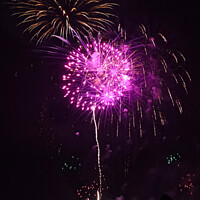 Buy canvas prints of Firework flower from Weymouth beach in Dorset by Ann Biddlecombe