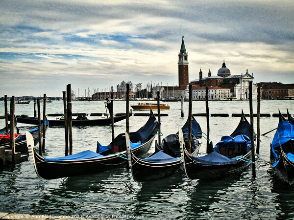 Gondolas tied up on the main lagoon Picture Board by Ann Biddlecombe