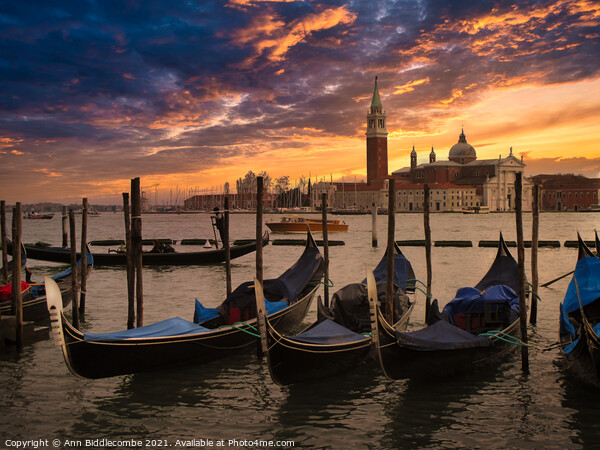 Gondolas at sunset on the main lagoon Picture Board by Ann Biddlecombe