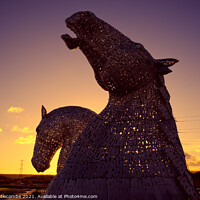 Buy canvas prints of Kelpies as the sun sets by Ann Biddlecombe