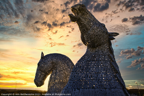 The Kelpies in Helix Park at Falkirk Picture Board by Ann Biddlecombe