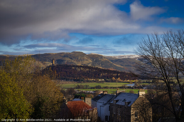 A view from Stirling Castle looking towards Wallace monument Picture Board by Ann Biddlecombe