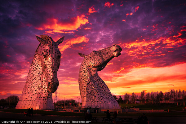 The Kelpies in Falkirk Picture Board by Ann Biddlecombe