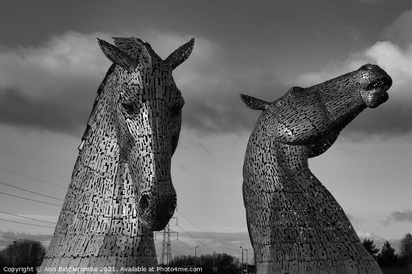 Black and white Kelpies in Scotland Picture Board by Ann Biddlecombe