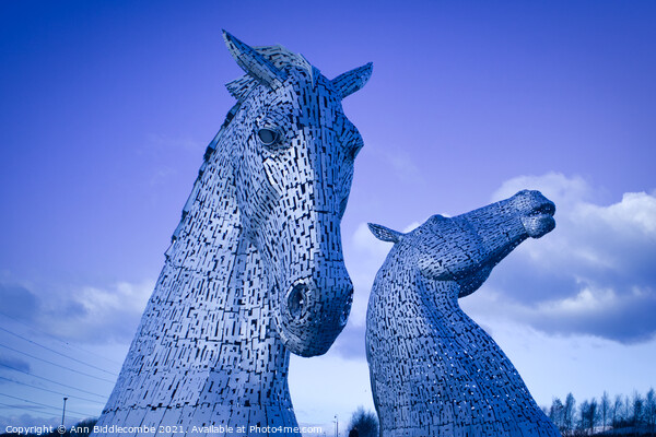 Kelpies in Scotland Picture Board by Ann Biddlecombe