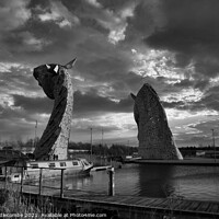Buy canvas prints of Kelpies from behind in Black and White by Ann Biddlecombe