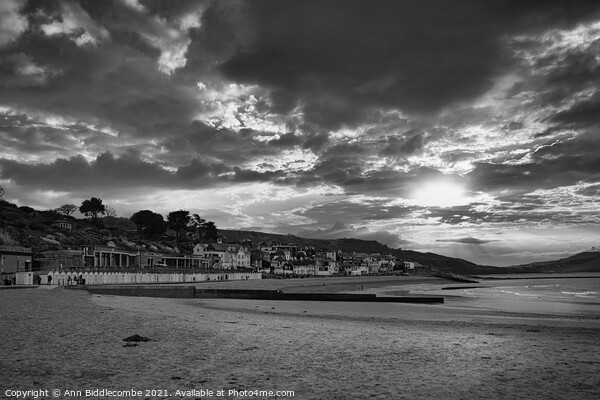 Monochrome Lyme Regis beach front in December Picture Board by Ann Biddlecombe