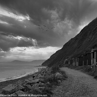 Buy canvas prints of Monochrome Branscombe beach by Ann Biddlecombe