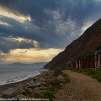 Buy canvas prints of Branscombe beach by Ann Biddlecombe