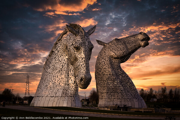 The Kelpies the metal horse heads in Scotland Picture Board by Ann Biddlecombe