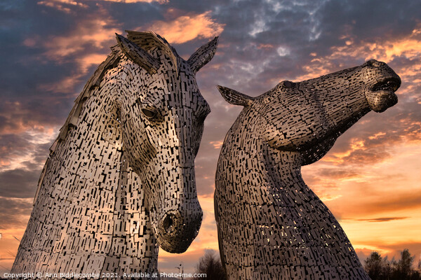 A close up of The Kelpies the metal horse heads in Picture Board by Ann Biddlecombe