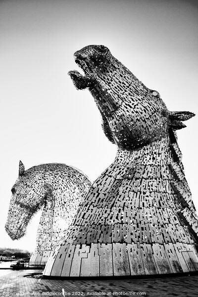 Black and white close up of The Kelpies  Picture Board by Ann Biddlecombe