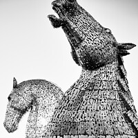 Buy canvas prints of Black and white close up of The Kelpies  by Ann Biddlecombe