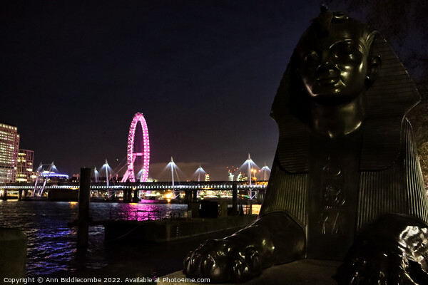 Night view from Victoria Embankment towards the Lo Picture Board by Ann Biddlecombe