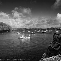 Buy canvas prints of Monochrome Mylor Harbour by Ann Biddlecombe