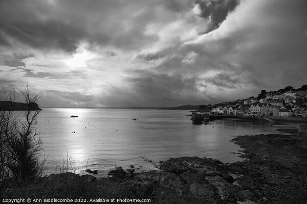 Monochrome St Mawes under cloudy Skys Picture Board by Ann Biddlecombe