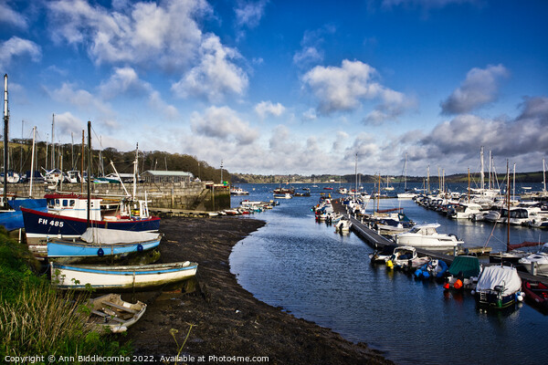 Mylor port harbour with the tide out Picture Board by Ann Biddlecombe