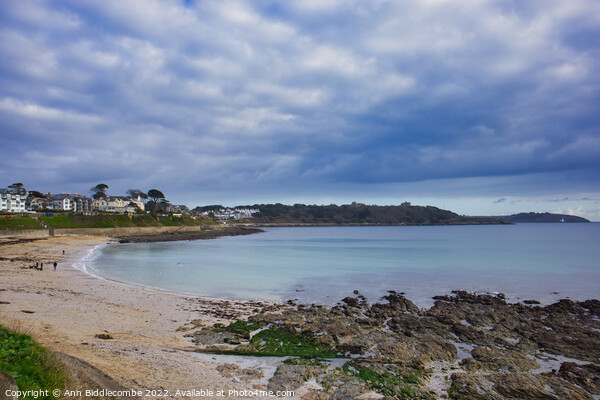 Falmouth Beach in January Picture Board by Ann Biddlecombe