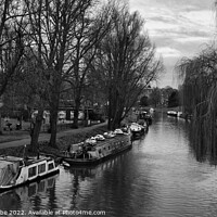 Buy canvas prints of Cambridge Canal with canal boats by Ann Biddlecombe