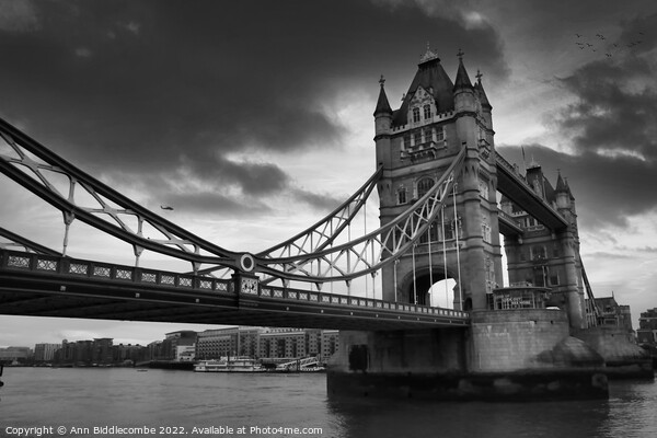Monochrome Tower Bridge from the side Picture Board by Ann Biddlecombe
