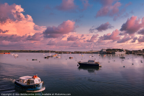 Falmouth harbour under pink skies Picture Board by Ann Biddlecombe