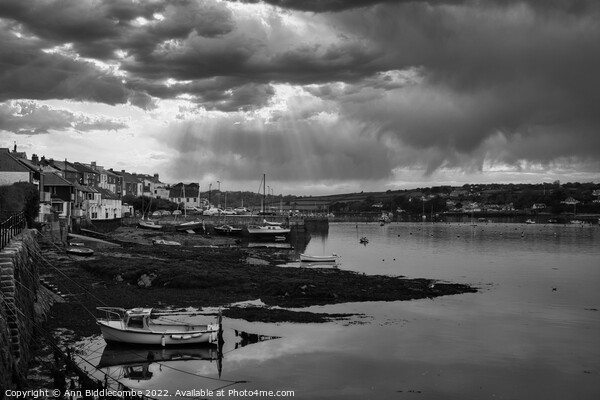 Falmouth town coast line in monochrome Picture Board by Ann Biddlecombe