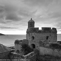 Buy canvas prints of St Mawes Castle on the Fal estuary by Ann Biddlecombe