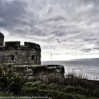 Buy canvas prints of St Mawes Castle in Cornwall by Ann Biddlecombe
