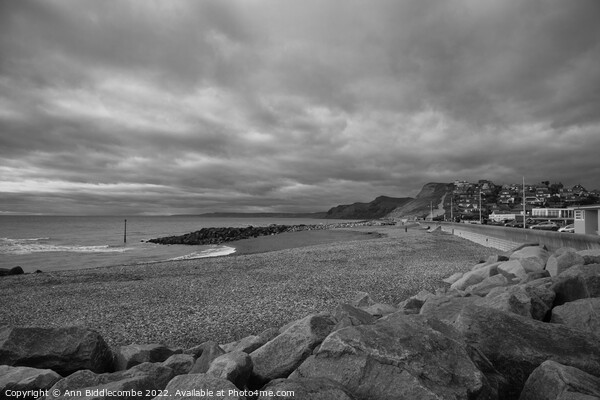 Monochrome West bay pebble beach Picture Board by Ann Biddlecombe