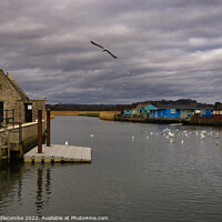 Buy canvas prints of Seagulls on the River Brit estuary  by Ann Biddlecombe